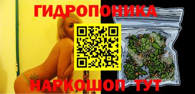 ECSTASY Будённовск